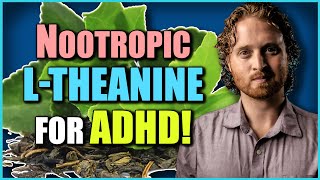 Nootropics For ADHD The Power Of LTheanine For Mental Health [upl. by Nolte]