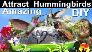 BEST Hummingbird Solar Powered Fountain BirdbathEndless Water Cement Designs Attracts Garden Birds [upl. by Aihsemek]