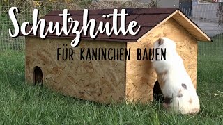 DIY Kaninchenhaus bauen🔨 [upl. by Kella]