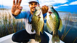 GIANT CRAPPIE Catch amp Cook How To Catch Crappie Lake Okeechobee Fishing [upl. by Arakat359]