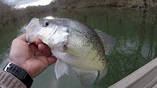 Crappie Fishing With Underspins  SLAB CRAPPIE [upl. by Senskell960]