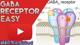 GABA Receptor BZD  Structure and Mechanism of Action [upl. by Marquardt]