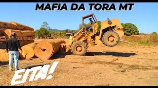 MAFIA DA TORA  MELHORES MOMENTOS DA W20 NA TORA [upl. by Libnah]