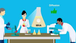 Modifying MuellerHinton Agar to Test Colistin Resistance through Disk Diffusion Test Ann Lab Med [upl. by Hcir]