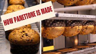 How Panettone Is Masterfully Crafted in Italy [upl. by Llerrut]