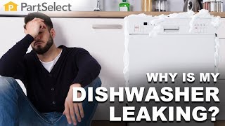 Why Is My Dishwasher Leaking  PartSelectcom [upl. by Llatsyrk957]