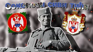 quotСоколови сиви тићиquot  Chetnik Song [upl. by Zednanreh718]