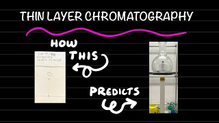 How to perform thin layer chromatography tutorial [upl. by Archy]