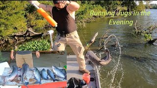 How to catch CATFISH on jug lines 🦈🐟  Catch and Clean [upl. by Chang]