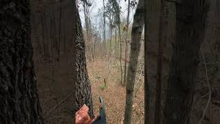 Filling feeders and checking stands whitetaildeer hunting [upl. by Gracye382]