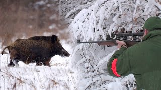 Hunting Serbia  Wild boar hunting  Lov na divlje svinje  Mali Zvornik  Caccia ai cinghiali [upl. by Aoh]