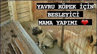 Basit Elektrik Devresi Nasıl Yapılır kolay ve kısa anlatım [upl. by Alene133]