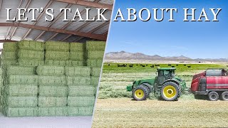 Harvesting hay to feed our cattle What makes for high quality alfalfa hay [upl. by Jadda339]