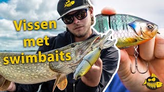 De kracht van een goede swimbait amp Jan Boomsma over zijn hengel set up [upl. by Alexandros]