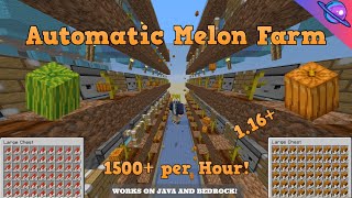 EASY Automatic Melon and Pumpkin Farm  1500 Melons per Hour  Minecraft 116 [upl. by Nagirrek]