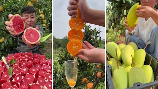 Farm Fresh Ninja Fruit Cutting  Oddly Satisfying Fruit Ninja 11 [upl. by Ociral]