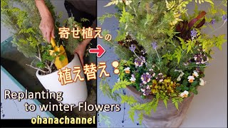 寄せ植えの植え替え🌼Replanting to winter Flowers❢ [upl. by Nodarse210]