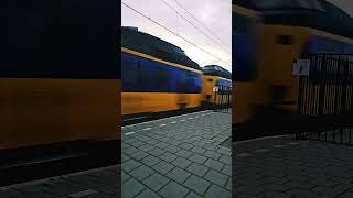 IC naar Utrecht shorts intercitytrain train ns holland [upl. by Roanna632]