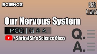 Class 5  Our Nervous System  MCQ  Questions and Answers cbse science [upl. by Consuelo590]