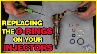 Need to Replace the ORings on Your Injectors Watch How Easy [upl. by Chancellor329]