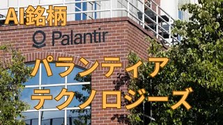 【PLTR】パランティア・テクノロジーズとは？将来性は？ [upl. by Augie]