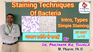 Identification of Bacteria using Staining Techniques  Simple Staining of Bacteria  BP 303T  L12 [upl. by Anrev]