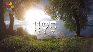 Hush  The Month of Cheshvan [upl. by Euphemiah]