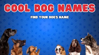 Cool Dog Names amp Meanings Find Your Pups Perfect Name [upl. by Ursola]