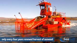 Film seaweed harvesting SeaCell™ EN [upl. by Meirrak]