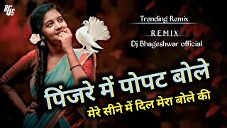 Pinjre Me Popat Bole  Meri Mena Tu Jab jab Bole  Trending Song 2023  Dj Bhageshwar Mandla [upl. by Eeleimaj]