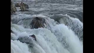 Dhuandhar Waterfall Bhedaghat Jabalpur Madhya Pradesh India  News Station [upl. by Theola488]