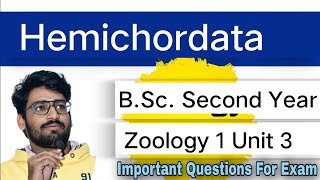 Hemichordata  BSc Second Year  Zoology 1 Unit 3 Lecture 1 [upl. by Aydiv]