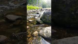 Mountain creek sounds big rock approved mountaincreek mountainriversound natureshorts [upl. by Ahcatan784]