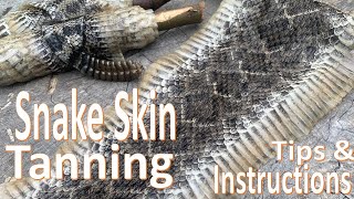 Snake Skin Tanning and Preserving How To [upl. by Braca598]