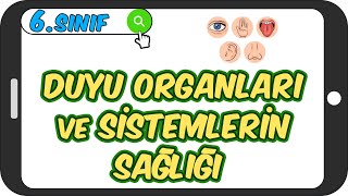 Duyu Organları ve Sistemlerin Sağlığı 📗 6Sınıf Fen 2023 [upl. by Ohcirej]