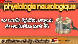 32 La Moelle Épinière Organe de Conduction Partie02  Physiologie 2ème MED [upl. by Mosora]