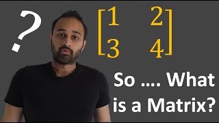 So  What Actually is a Matrix   Data Science Basics [upl. by Attirehs532]