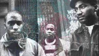 A Tribe Called Quest  Bonita Applebum 12quot Slave Mix [upl. by Zosema]