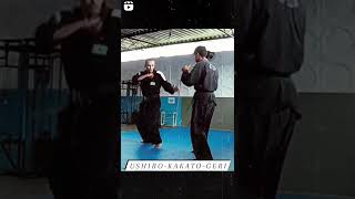 MORGANTI JUJITSU 🇧🇷  USHIROKAKATOGERI [upl. by Rhodia]