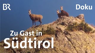 Berggasthöfe und Buschenschänken in Südtirol  Unter unserem Himmel  BR  Doku  Berge [upl. by Mathilda]