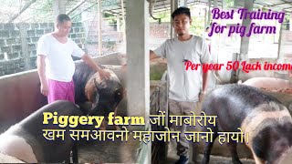 Pure Line Large White Yorkshire Pigs Offloading from Truck at the Farm Guwahati Assam [upl. by Nnylrebma133]