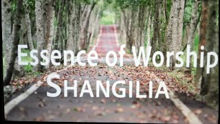 Essence of Worship  Shangilia  Lyric video [upl. by Mars995]