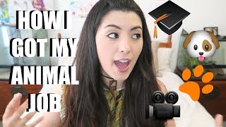 Working With Animals  How I Got My Animal Job  Career Story [upl. by Ateekram]