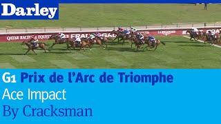 Ace Impact by Cracksman wins the G1 Prix de lArc de Triomphe at Longchamp [upl. by Anavoj913]