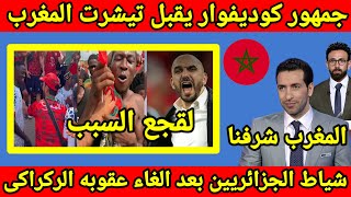 جزائريين مساطيل بعد رفع العقوبه عن وليد الركراكى لقجع هو السبب🇲🇦جمهور كوديفوار يقبل تيشرت المغرب 🇲🇦 [upl. by Eellac]