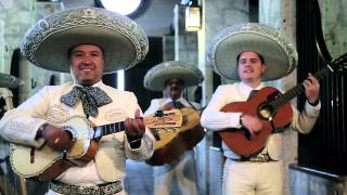 México Voz Que Canta  Mariachi Nuevo Tecalitlan Videoclip Oficial 2016 [upl. by Matthew]