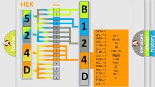 DTC Ford B124D02 Short Explanation [upl. by Hennahane720]