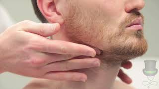 Examination of the lymph nodes of the head and neck [upl. by Asilad]