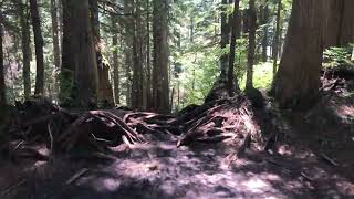 BCMC Route Grouse grind descent [upl. by Enitsirhc]