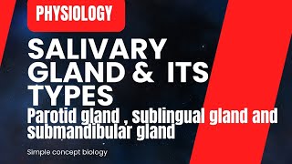 salivary glands  Anatomy and Physiology [upl. by Corney]